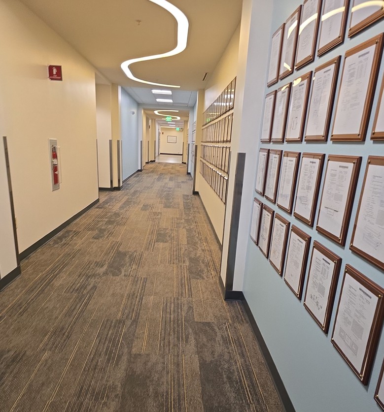 An office corridor with a wall of framed certificates, carpet freshly cleaned